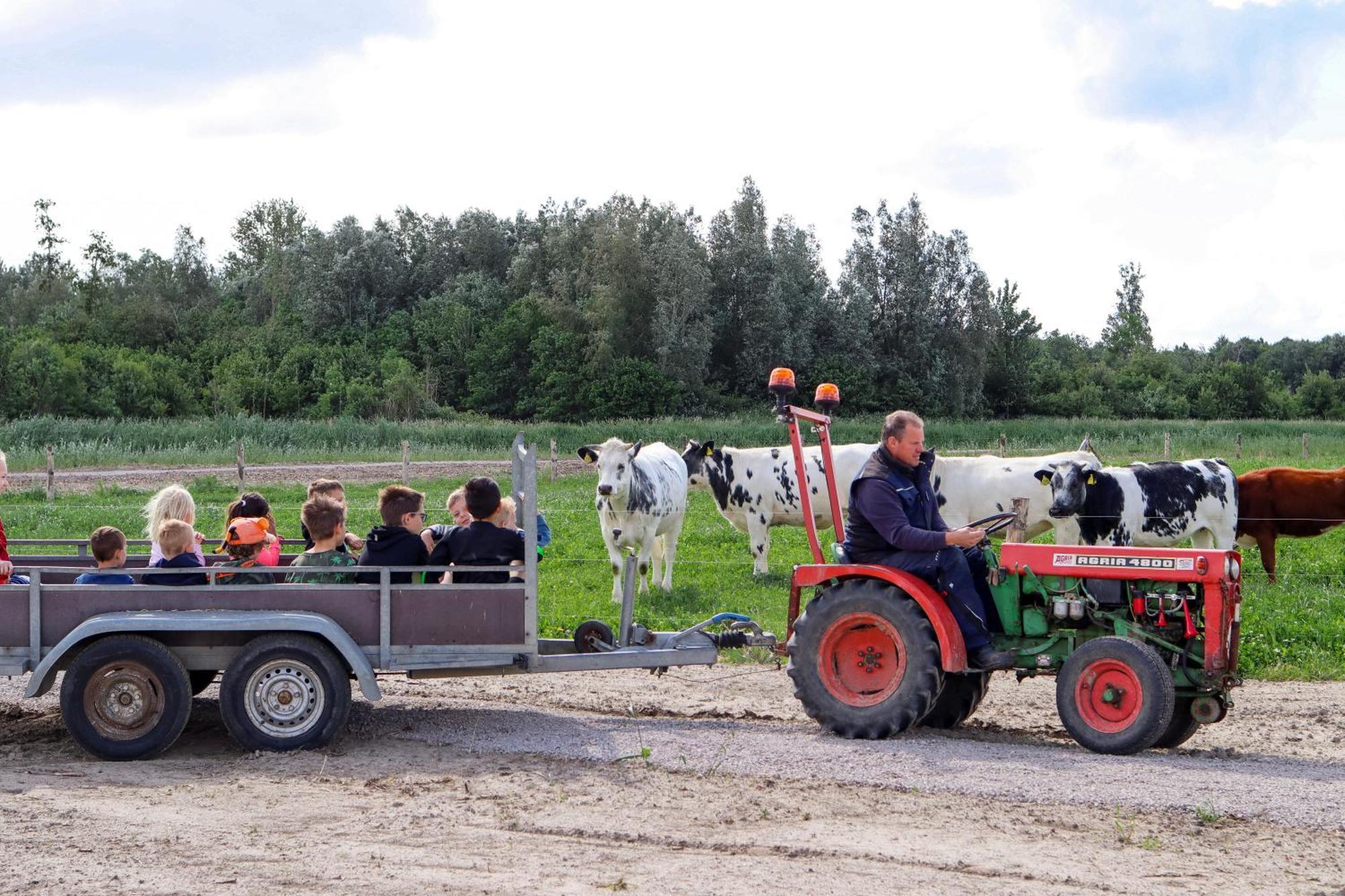 Boerderijcamping De Hinde Dronten Bagian luar foto